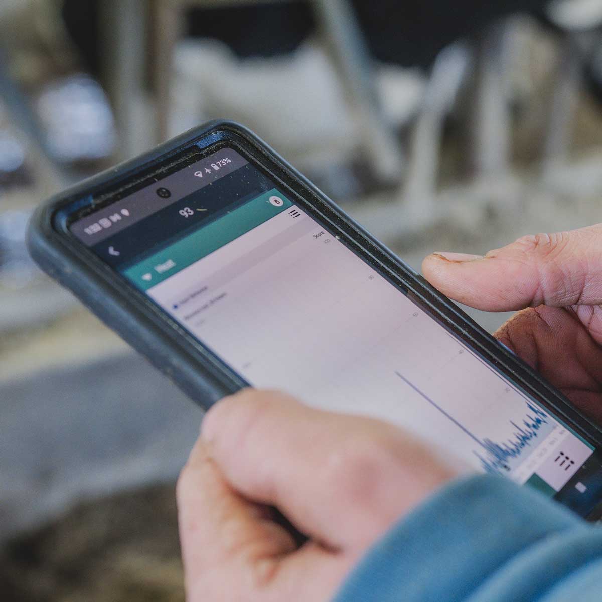 animal tracking in dairy farming