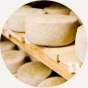 Vermont cheesemakers